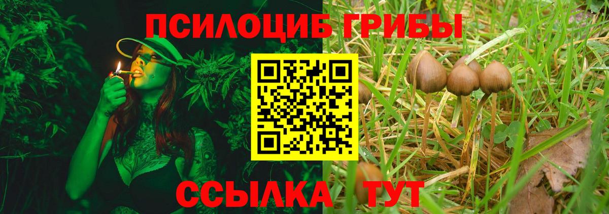 Псилоцибиновые грибы ЛСД  Галлюциногенные грибы MAGIC MUSHROOMS  наркошоп  Соликамск  Вход с VPN 